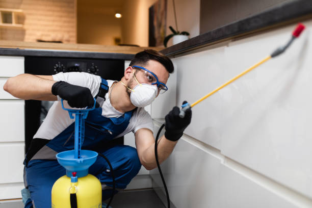 Best Mosquito Control Services  in Souderton, PA