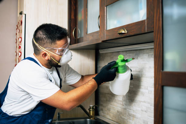 Reliable Souderton, PA Pest Control Solutions